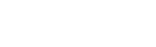 techreis logo on footer